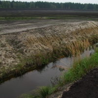 Těžené rašeliniště až na minerální podklad - silně odvodněné